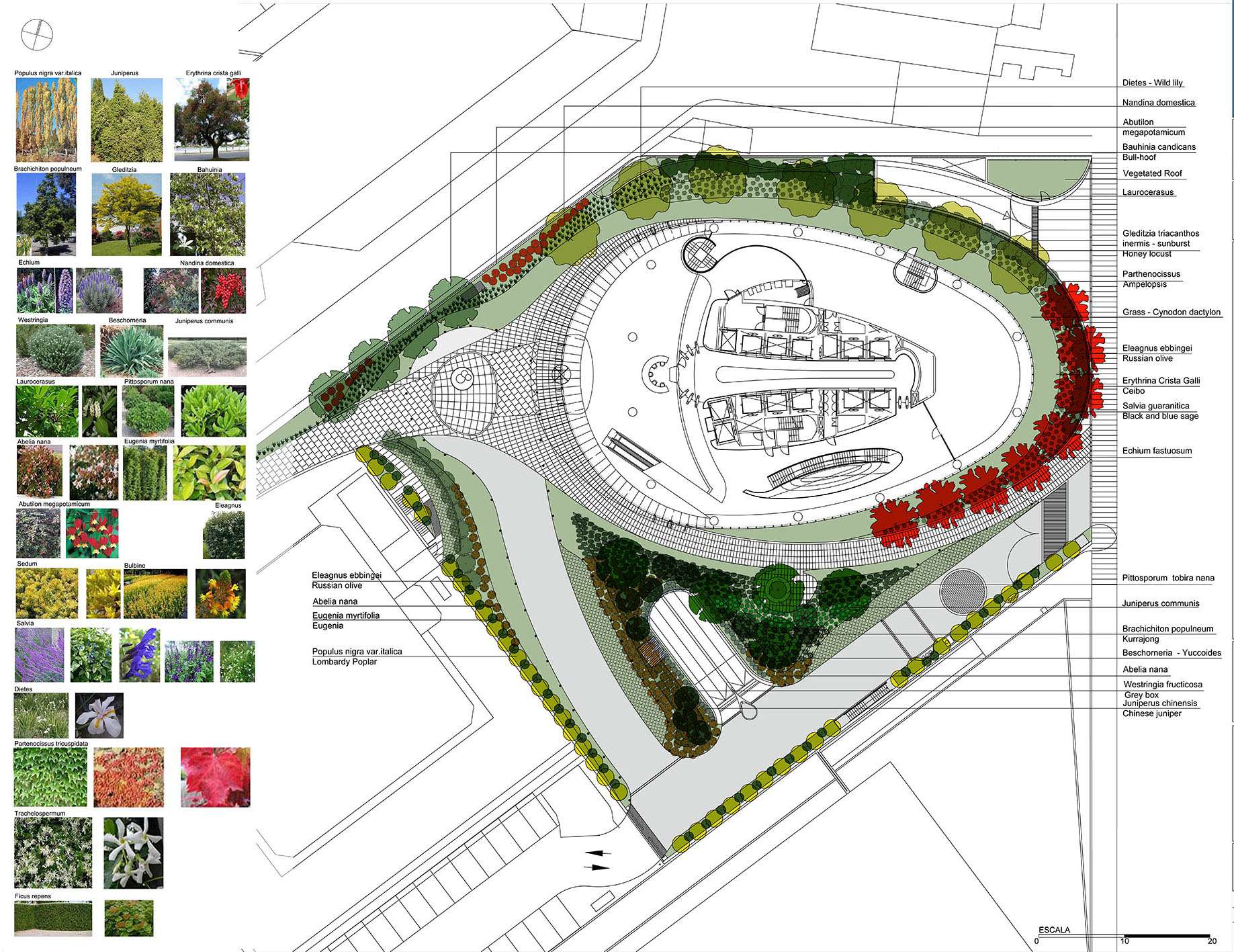 TORRE BANCO MACRO Biennal